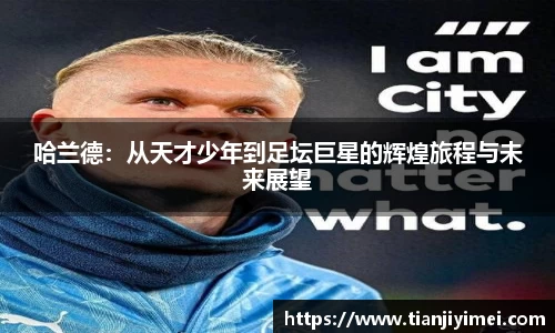 完美体育.WM
